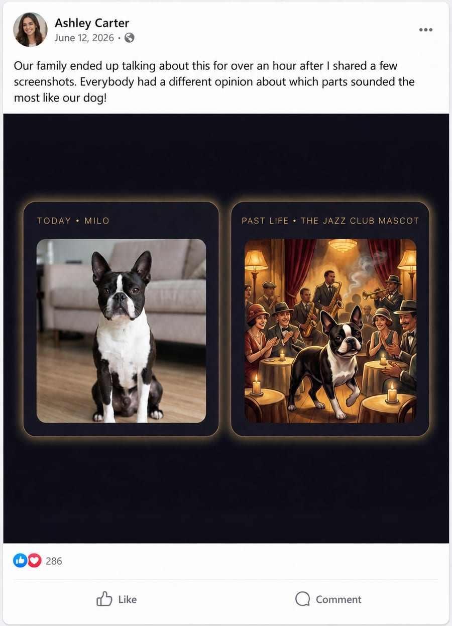 Real customer review 1