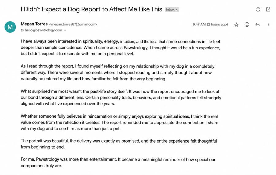 Real customer review 3
