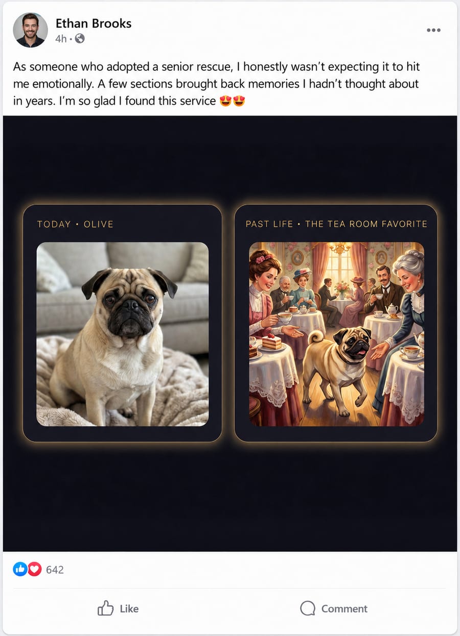 Real customer review 8
