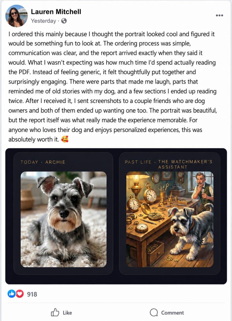 Real customer review 9