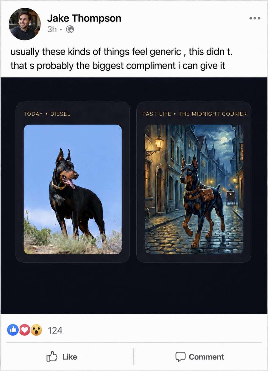 Real customer review 11